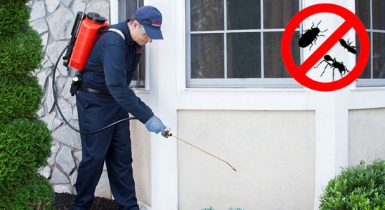 Başmakçı Kene İlaçlama böcek ilaçlama ve haşere kontrolü — ilaclama-tr.com